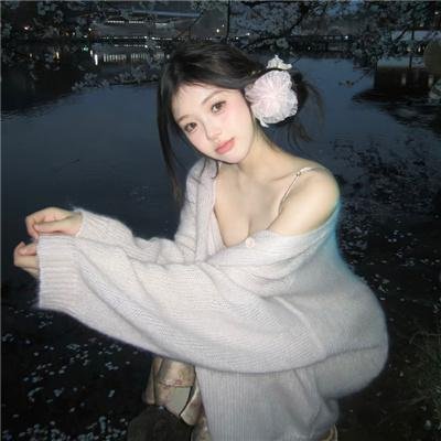 盗贼生涯